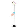 ANTIK smart stojaca lampa ATK-SFL01